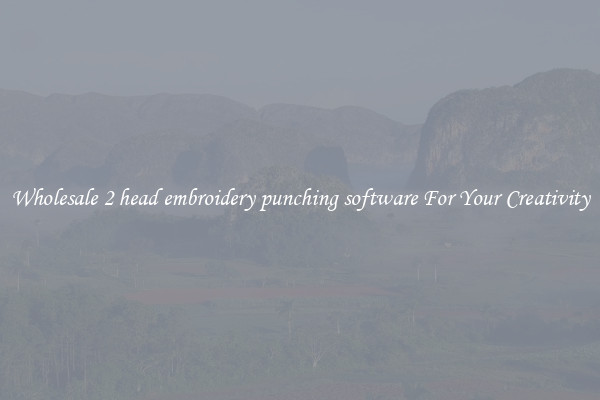 Wholesale 2 head embroidery punching software For Your Creativity