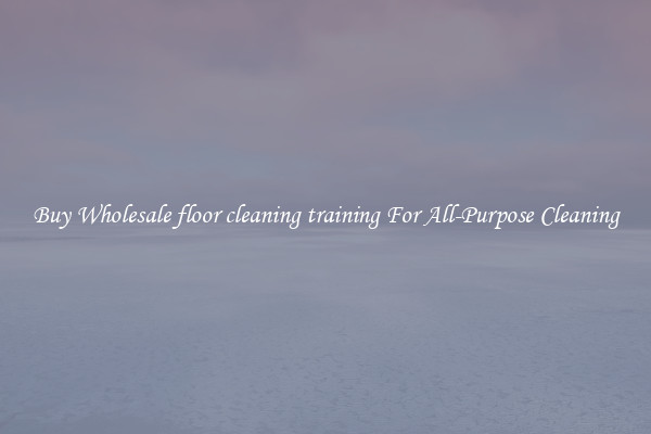 Buy Wholesale floor cleaning training For All-Purpose Cleaning