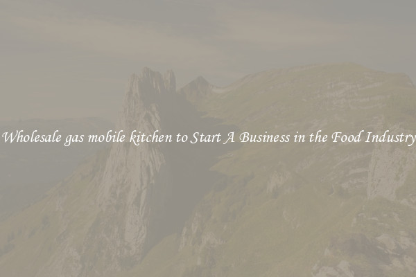 Wholesale gas mobile kitchen to Start A Business in the Food Industry