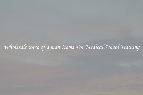 Wholesale torso of a man Items For Medical School Training