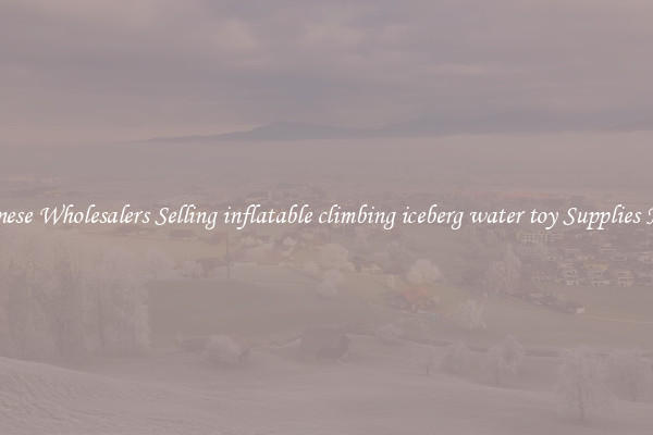 Chinese Wholesalers Selling inflatable climbing iceberg water toy Supplies Now