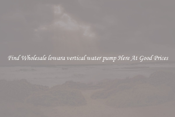 Find Wholesale lowara vertical water pump Here At Good Prices