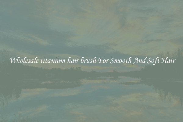 Wholesale titanium hair brush For Smooth And Soft Hair