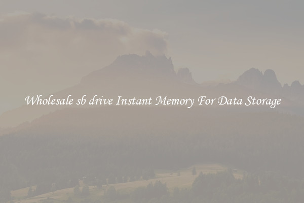 Wholesale sb drive Instant Memory For Data Storage