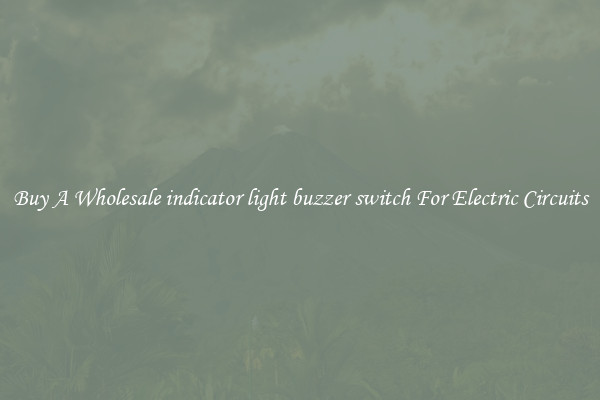 Buy A Wholesale indicator light buzzer switch For Electric Circuits