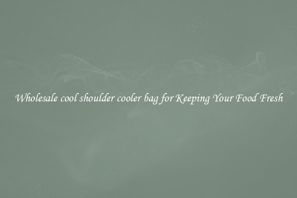 Wholesale cool shoulder cooler bag for Keeping Your Food Fresh