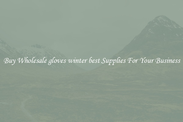 Buy Wholesale gloves winter best Supplies For Your Business