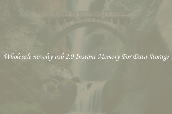 Wholesale novelty usb 2.0 Instant Memory For Data Storage