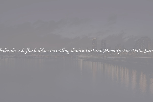 Wholesale usb flash drive recording device Instant Memory For Data Storage