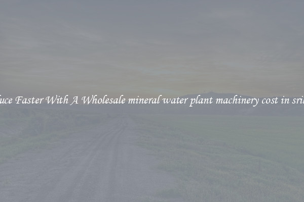 Produce Faster With A Wholesale mineral water plant machinery cost in srilanka