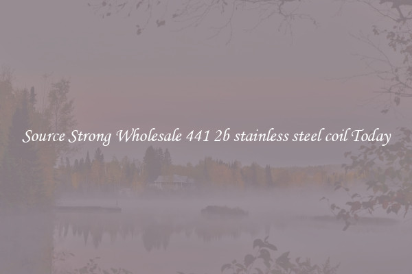 Source Strong Wholesale 441 2b stainless steel coil Today
