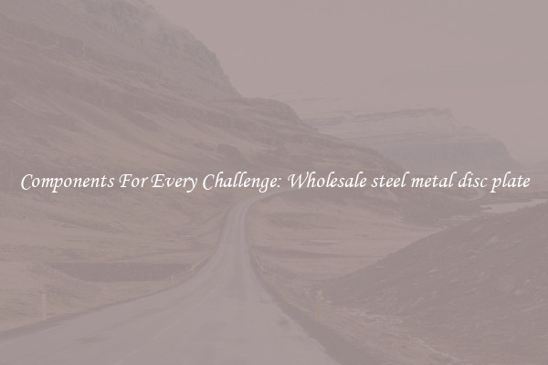 Components For Every Challenge: Wholesale steel metal disc plate