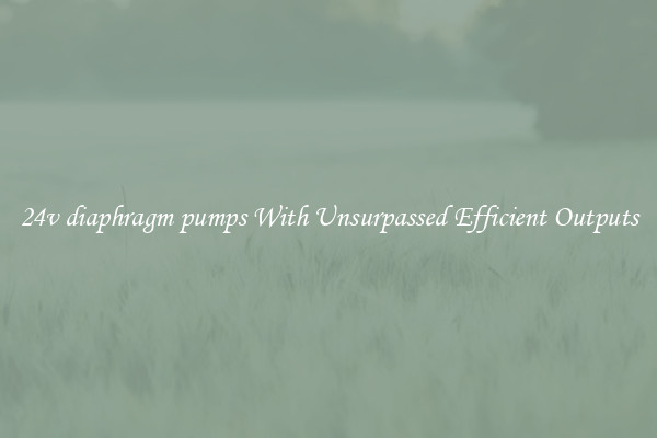 24v diaphragm pumps With Unsurpassed Efficient Outputs