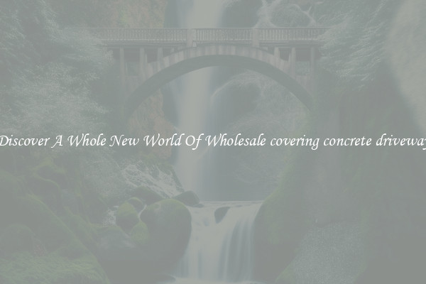 Discover A Whole New World Of Wholesale covering concrete driveway