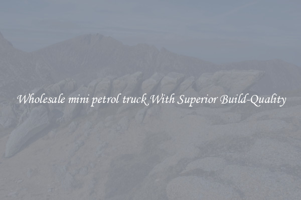 Wholesale mini petrol truck With Superior Build-Quality