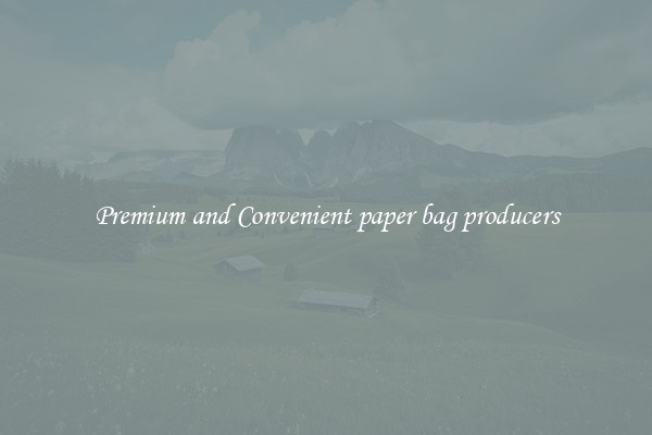 Premium and Convenient paper bag producers