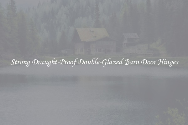 Strong Draught-Proof Double-Glazed Barn Door Hinges