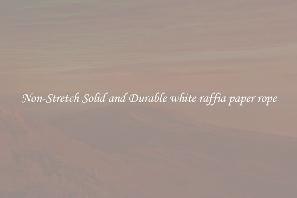 Non-Stretch Solid and Durable white raffia paper rope