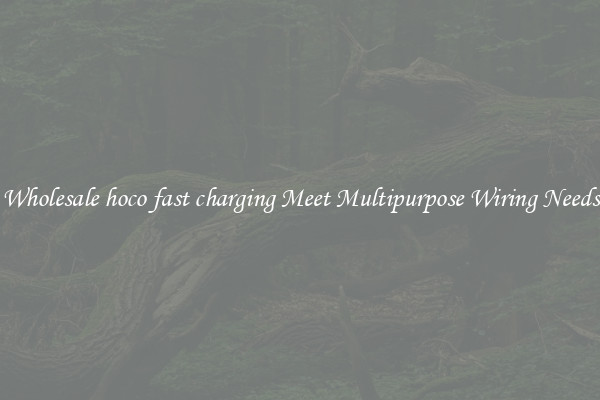 Wholesale hoco fast charging Meet Multipurpose Wiring Needs