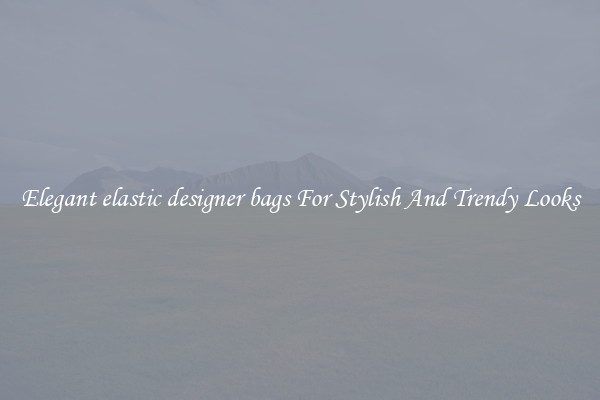 Elegant elastic designer bags For Stylish And Trendy Looks