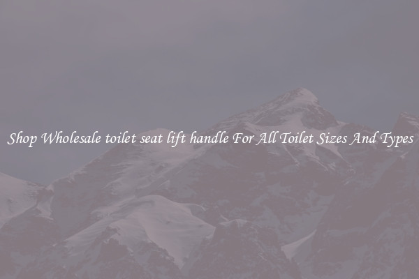 Shop Wholesale toilet seat lift handle For All Toilet Sizes And Types