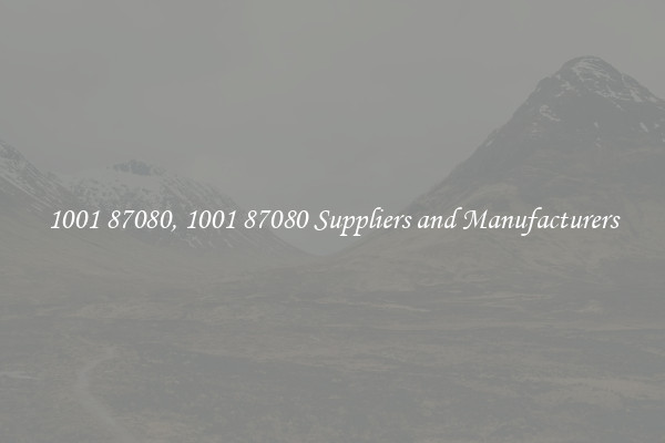 1001 87080, 1001 87080 Suppliers and Manufacturers