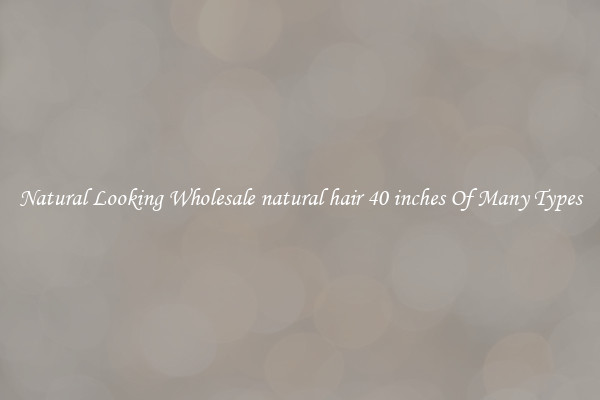 Natural Looking Wholesale natural hair 40 inches Of Many Types