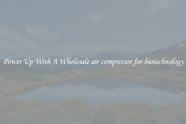 Power Up With A Wholesale air compressor for biotechnology