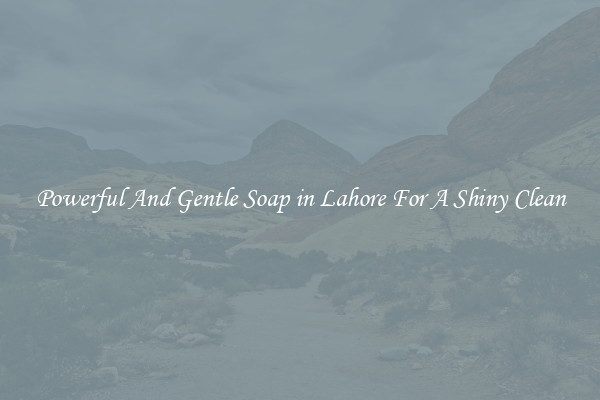 Powerful And Gentle Soap in Lahore For A Shiny Clean